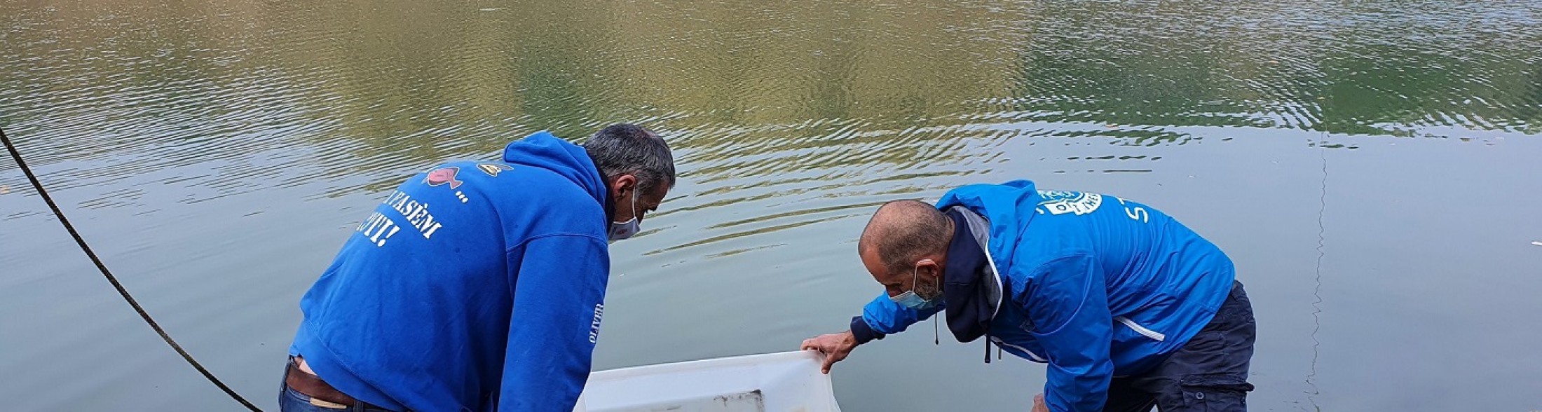 Liberazione di storioni e anguille nel Delta del Po 
