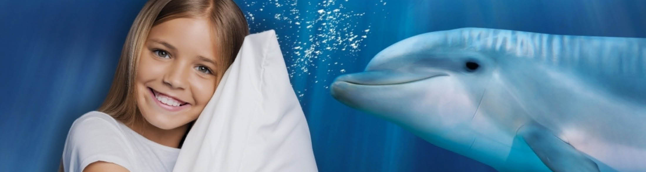 Notte con i Delfini 2026 