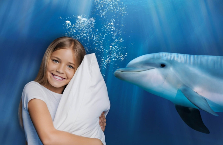 Notte con i Delfini 2026 