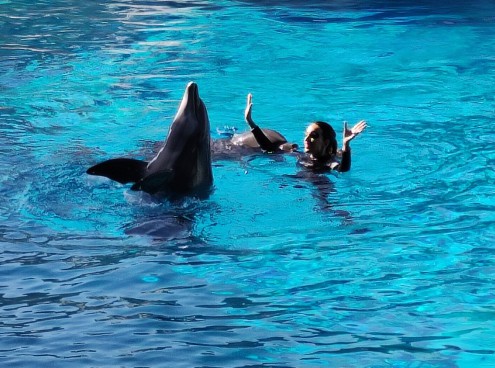 Notte Rosa nei parchi Costa 