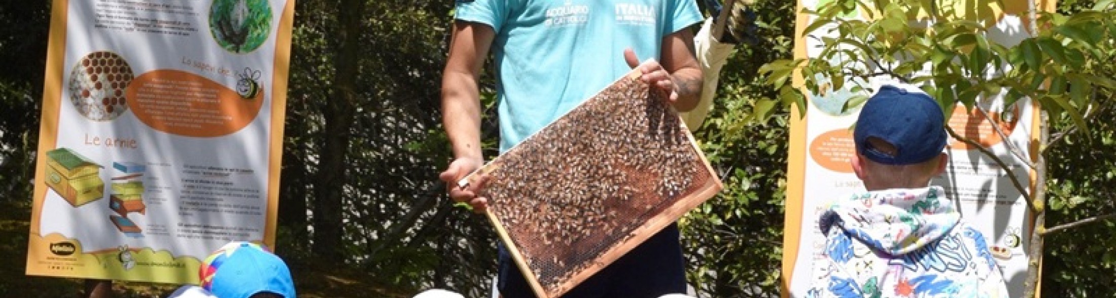 Oltre 90mila studenti hanno scelto i parchi Costa Edutainment Romagna 