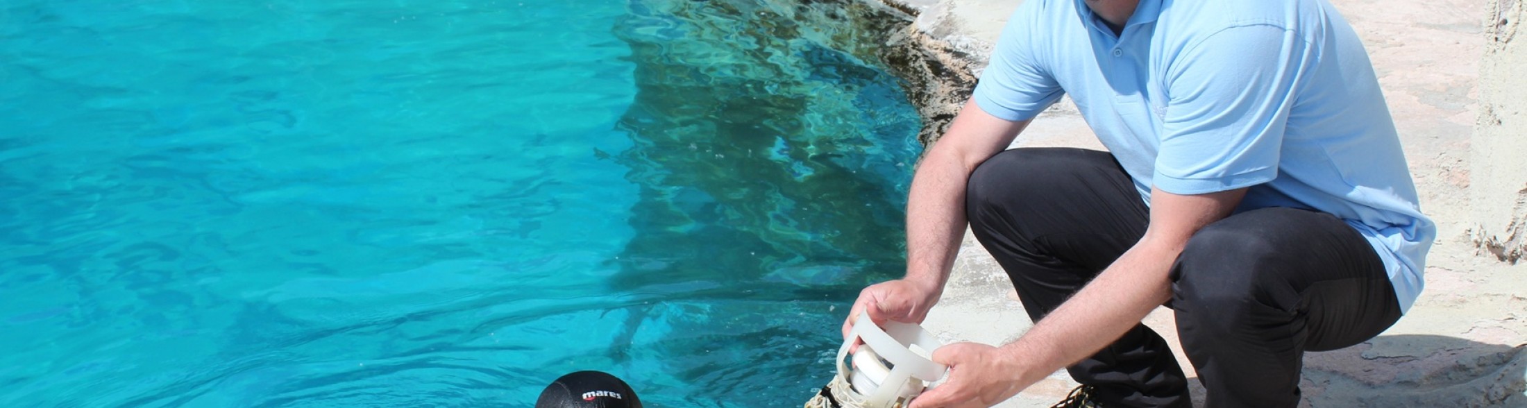 Oltremare collabora al progetto di ricerca sulla comunicazione tra tursiopi. Pubblicato sulla prestigiosa rivista scientifica internazionale PLOS ONE