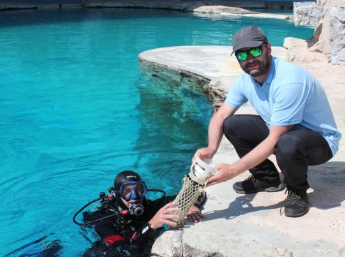 Oltremare collabora al progetto di ricerca sulla comunicazione tra tursiopi. Pubblicato sulla prestigiosa rivista scientifica internazionale PLOS ONE