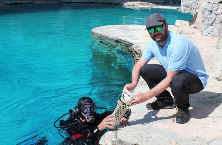 Oltremare collabora al progetto di ricerca sulla comunicazione tra tursiopi. Pubblicato sulla prestigiosa rivista scientifica internazionale PLOS ONE