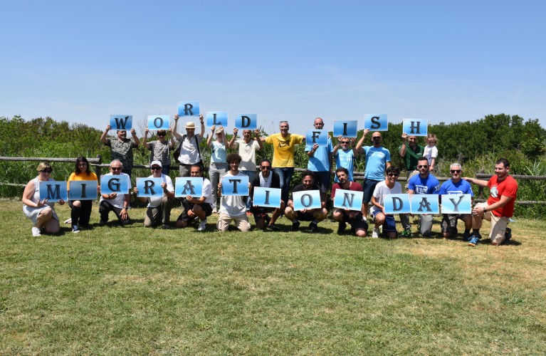 Oltremare libera Storioni e Anguille per il Fish Migration Day 2022 