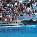 Ottobre di divertimento nei parchi Costa