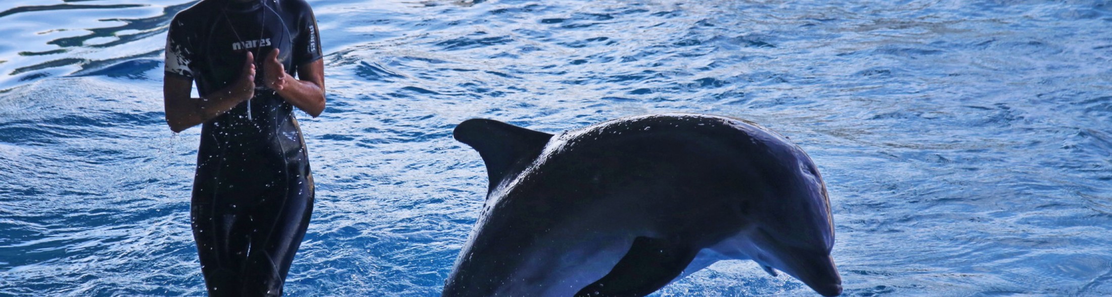 Ottobre di divertimento nei parchi Costa