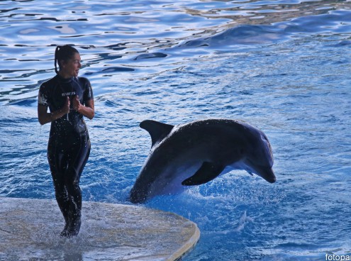 Ottobre di divertimento nei parchi Costa