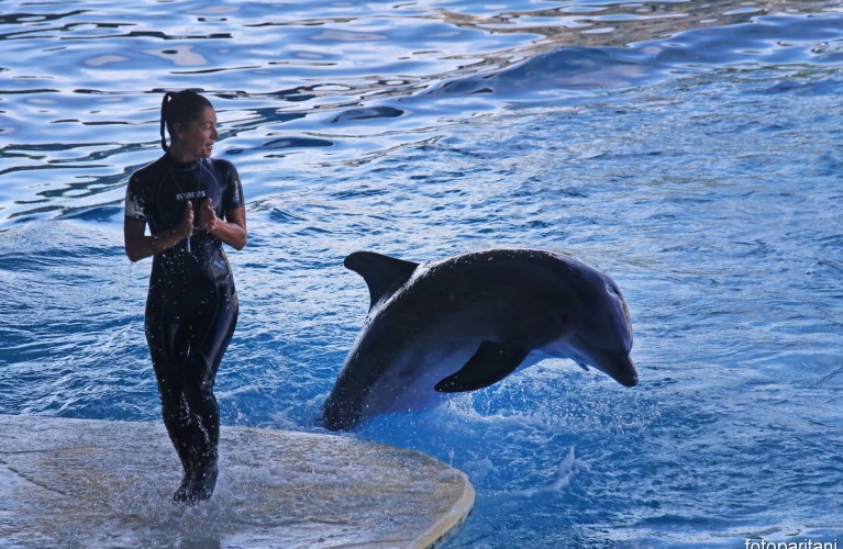 Ottobre di divertimento nei parchi Costa