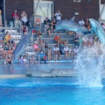 Ottobre di divertimento nei parchi Costa