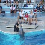 Ottobre di divertimento nei parchi Costa