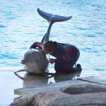 Parchi Costa aperti, famiglie da tutta Italia