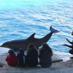 Parchi Costa aperti, famiglie da tutta Italia