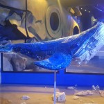 Ponti di primavera nei parchi Costa tra sostenibilità e esperienze interattive