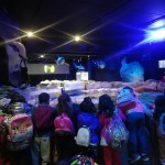 Ponti di primavera nei parchi Costa tra sostenibilità e esperienze interattive