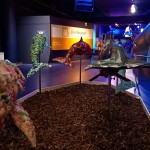 Ponti di primavera nei parchi Costa tra sostenibilità e esperienze interattive