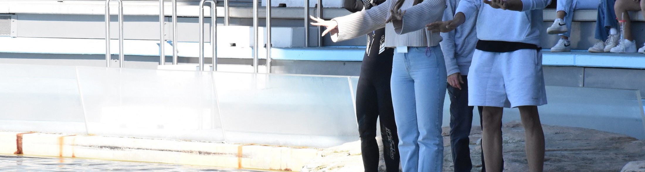 Riccardo Visconti, il giocatore di basket tra delfini e pappagalli