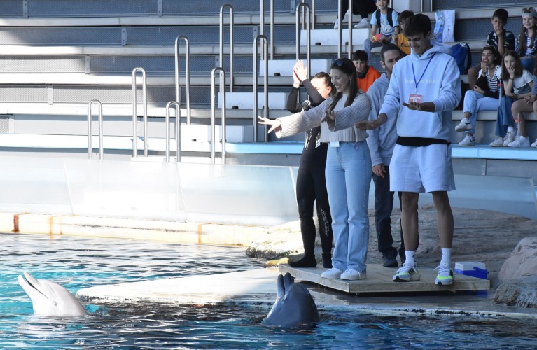Riccardo Visconti, il giocatore di basket tra delfini e pappagalli