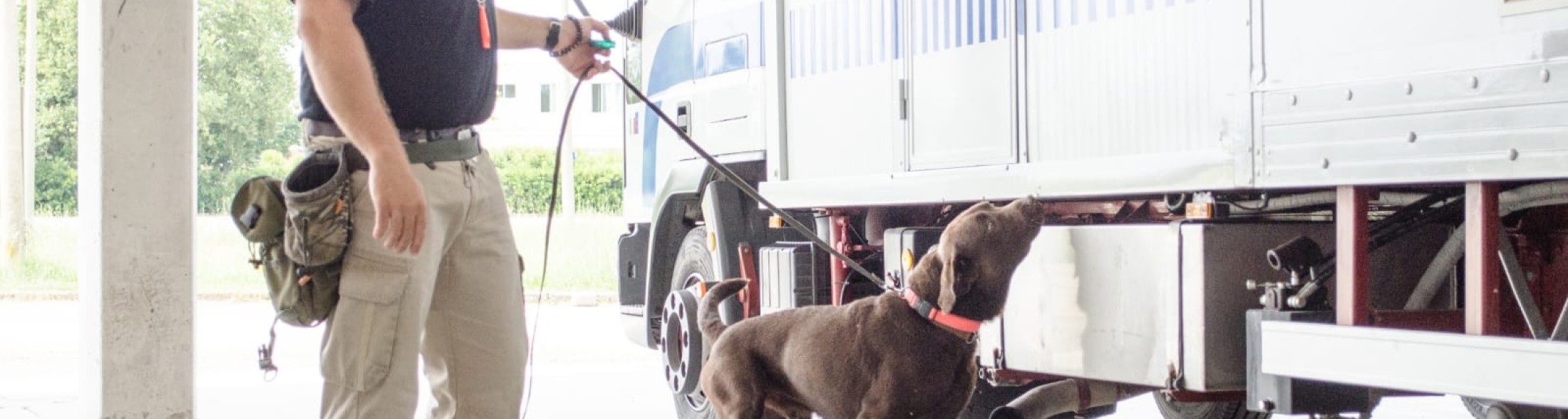 Sabato 14 Febbraio il workshop per esperti e amanti cinofili