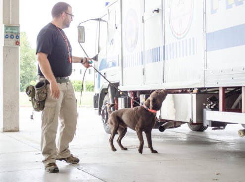 Sabato 14 Febbraio il workshop per esperti e amanti cinofili