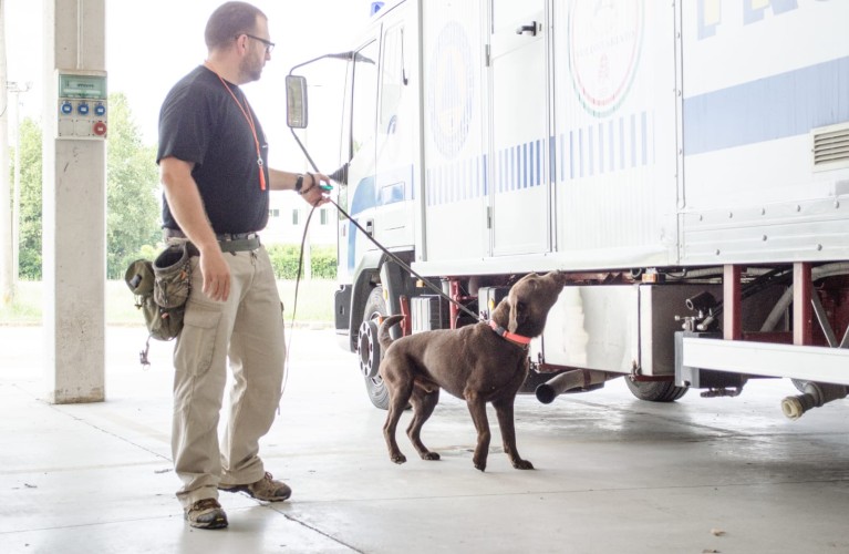 Sabato 14 Febbraio il workshop per esperti e amanti cinofili