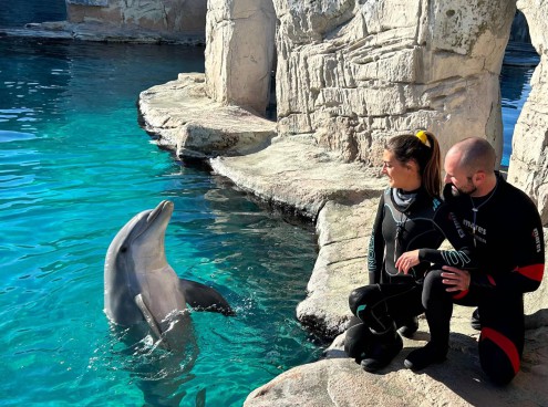 Tanti auguri a Mia, 15 anni per la delfina ambasciatrice di progetti di ricerca