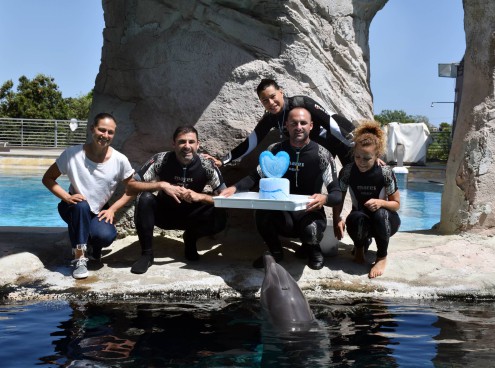 Tanti auguri Blue, 25 anni per la delfina!