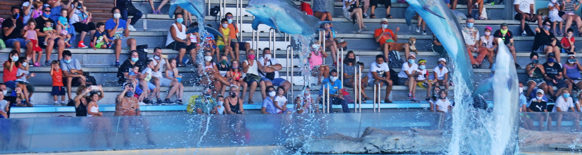Torniamo aperti il 15 giugno!