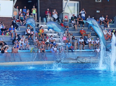 Torniamo aperti il 15 giugno!