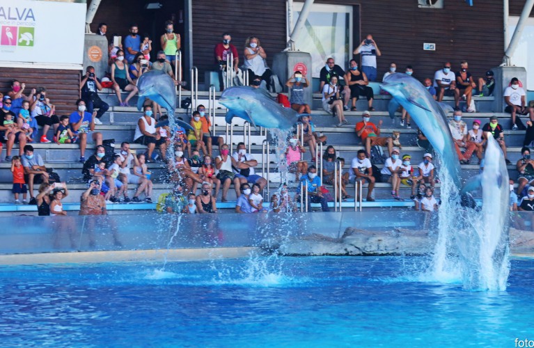 Torniamo aperti il 15 giugno!