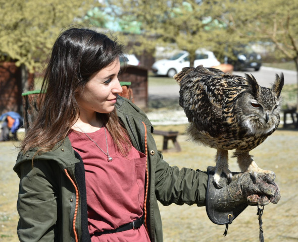 A scuola di Falconeria