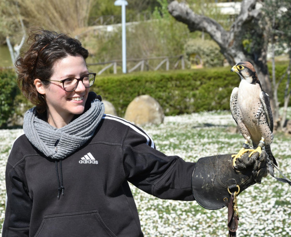 A scuola di Falconeria