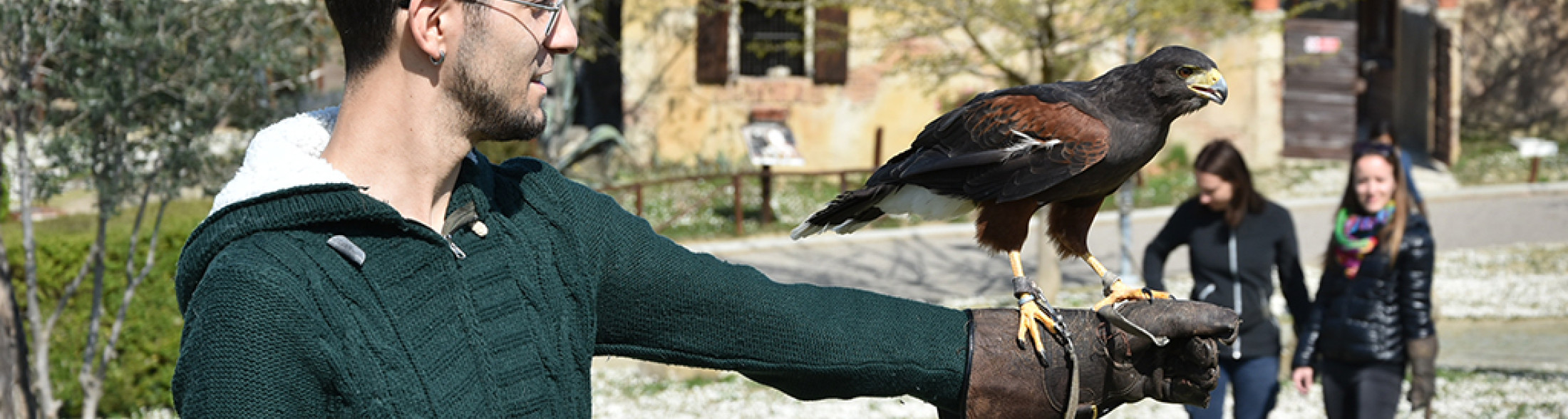A scuola di Falconeria