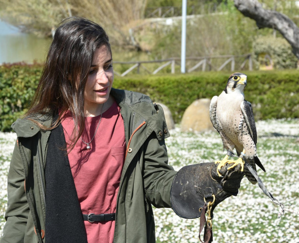 A scuola di Falconeria