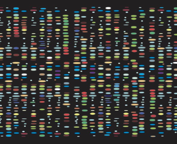  Alla scoperta del DNA - Novità 2024