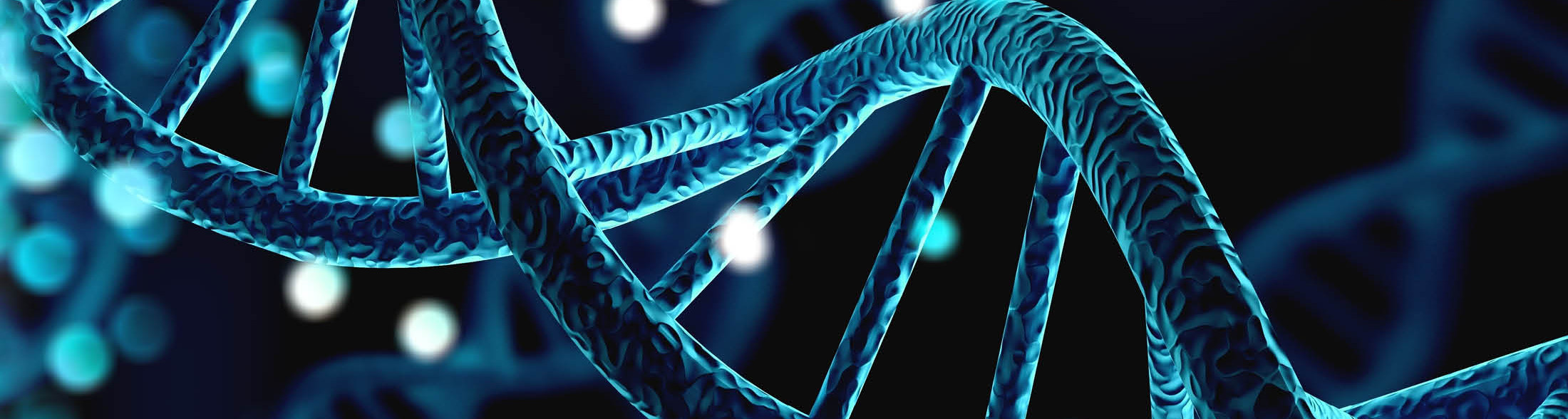 Alla scoperta del DNA