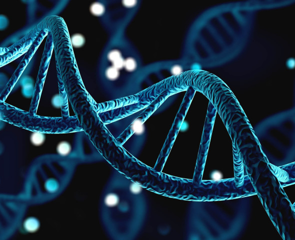 Alla scoperta del DNA