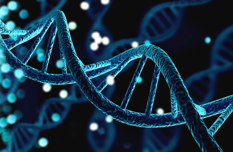 Alla scoperta del DNA