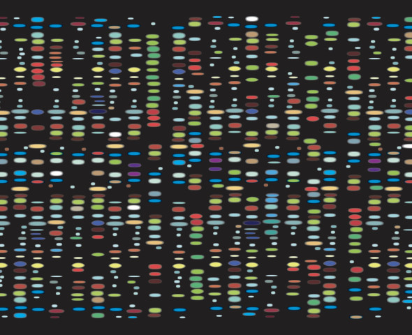 Alla scoperta del DNA