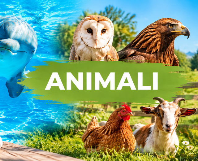 Animali