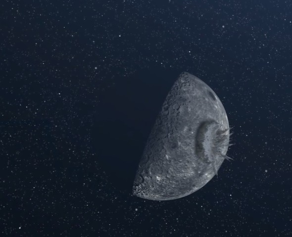 Dal Big Bang al T-rex