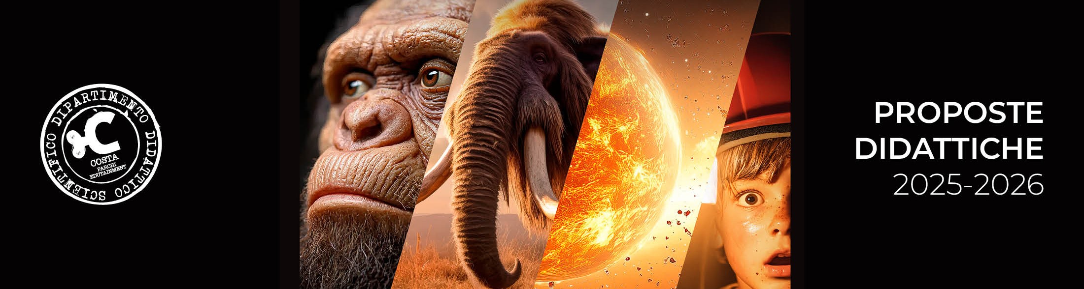 Dipartimento Didattico Scientifico