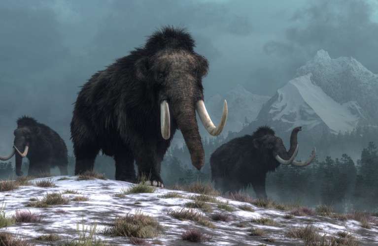 I giganti del passato: viaggio nella megafauna preistorica - Novità 2024