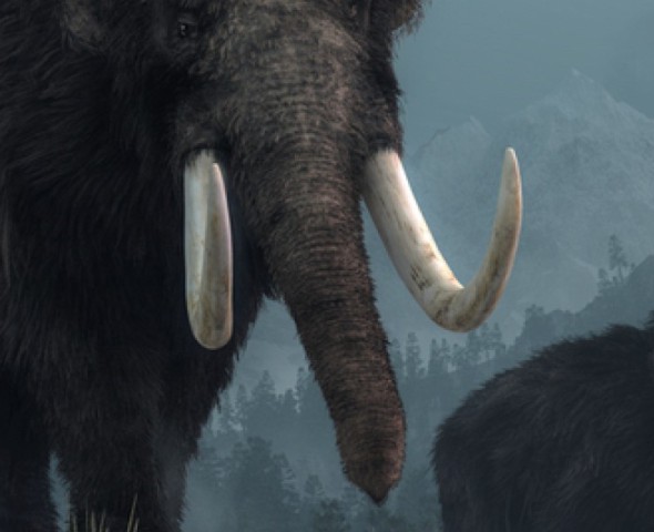 I giganti del passato: viaggio nella megafauna preistorica - Novità 2024