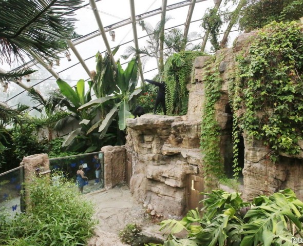 IL GIARDINO DELL'EVOLUZIONE