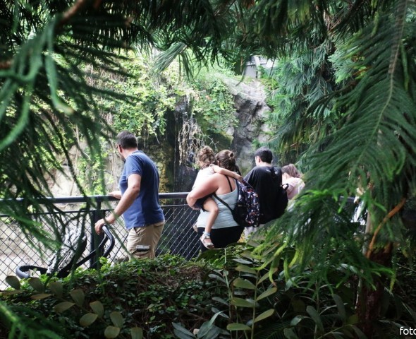 IL GIARDINO DELL'EVOLUZIONE