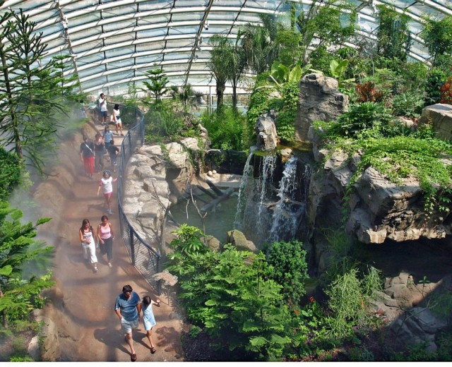 IL GIARDINO DELL'EVOLUZIONE