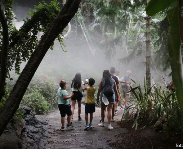IL GIARDINO DELL'EVOLUZIONE