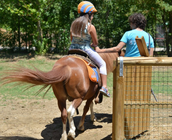Il pony, il bambino e i 5 sensi