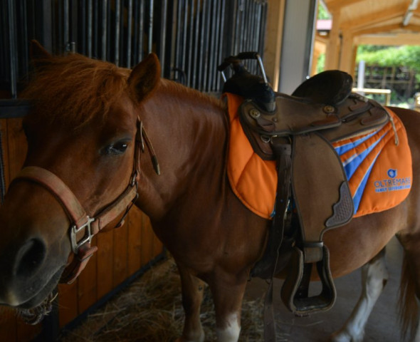 Il pony, il bambino e i 5 sensi